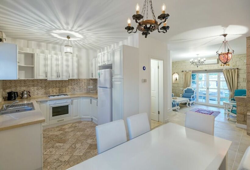 带1个卧室的别墅, Alaroof