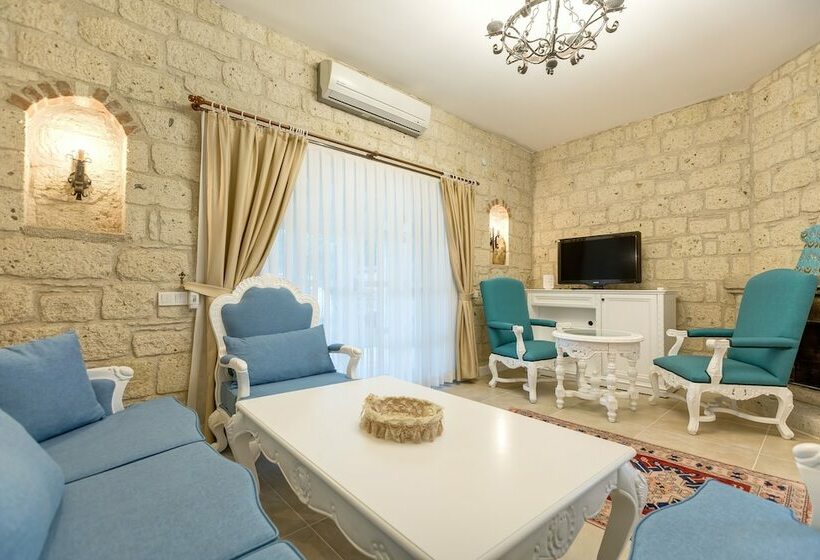 带1个卧室的别墅, Alaroof