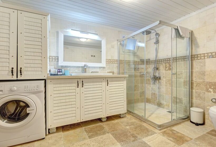 带1个卧室的别墅, Alaroof