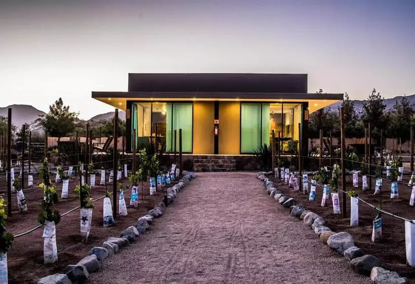 Deluxe-villa 1 Makuuhuone, Boutique Valle De Guadalupe & Spa