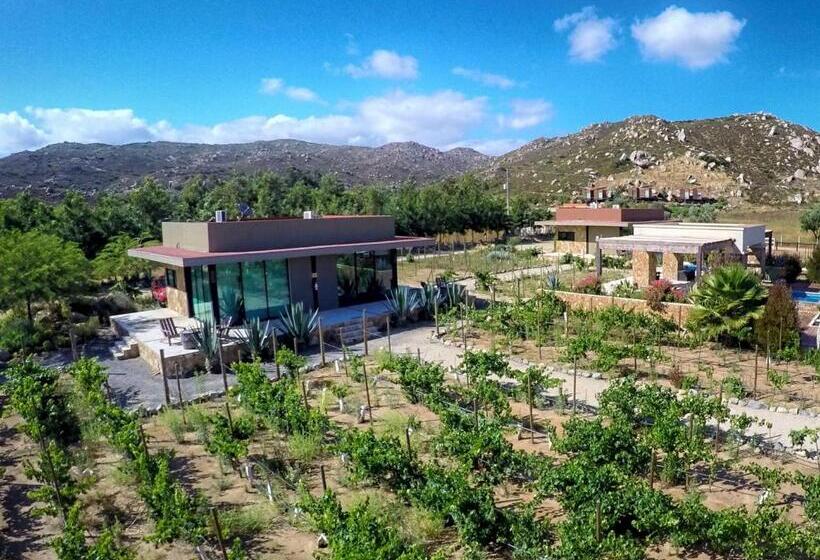 침실 1개 디럭스 빌라, Boutique Valle De Guadalupe & Spa