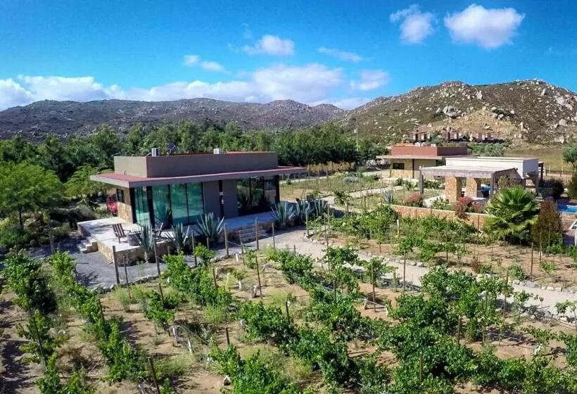 Deluxe-villa 1 Makuuhuone, Boutique Valle De Guadalupe & Spa