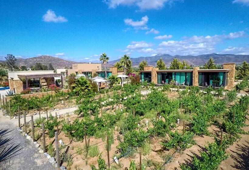 마스터 룸, Boutique Valle De Guadalupe & Spa