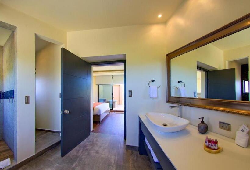 1침실 펜트하우스 아파트, Boutique Valle De Guadalupe & Spa