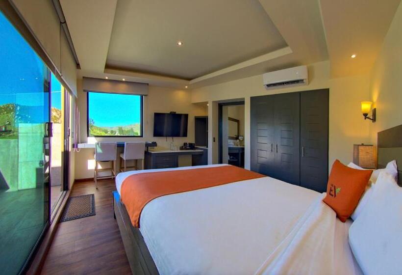 1침실 펜트하우스 아파트, Boutique Valle De Guadalupe & Spa