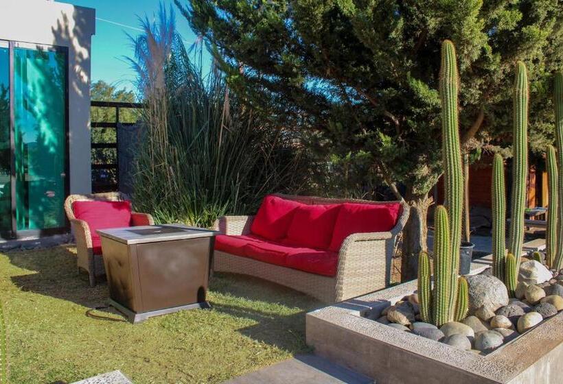 가든 전망 주니어 스위트, Boutique Valle De Guadalupe & Spa