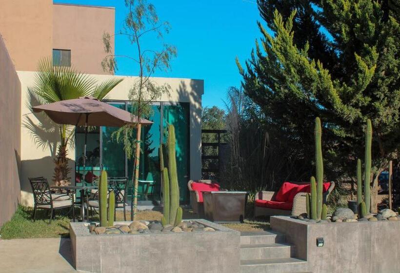 가든 전망 주니어 스위트, Boutique Valle De Guadalupe & Spa