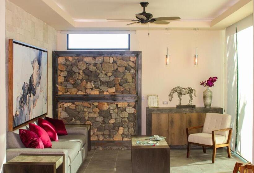 가든 전망 주니어 스위트, Boutique Valle De Guadalupe & Spa