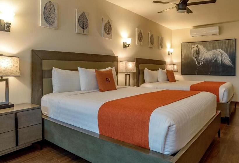 가든 전망 주니어 스위트, Boutique Valle De Guadalupe & Spa