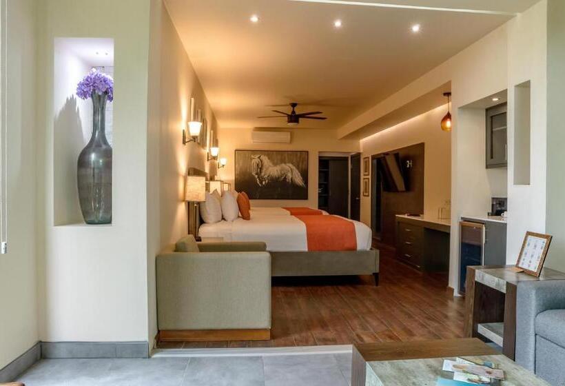 가든 전망 주니어 스위트, Boutique Valle De Guadalupe & Spa