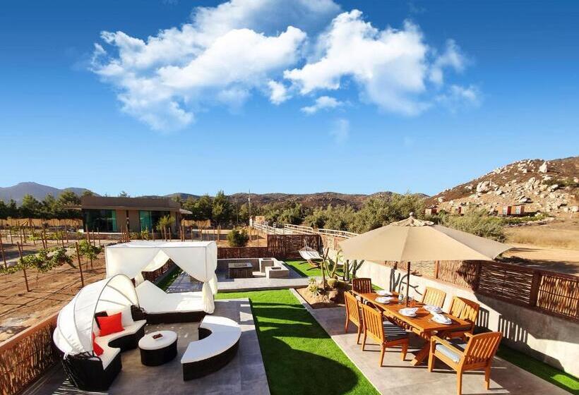 프레지덴셜 스위트, Boutique Valle De Guadalupe & Spa