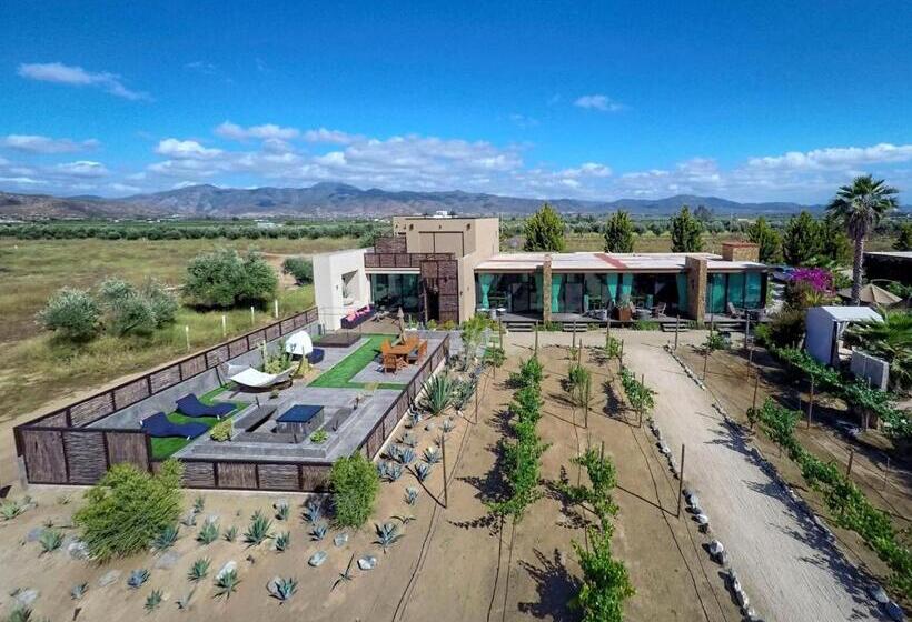 プレジデントスイートルーム, Boutique Valle De Guadalupe & Spa