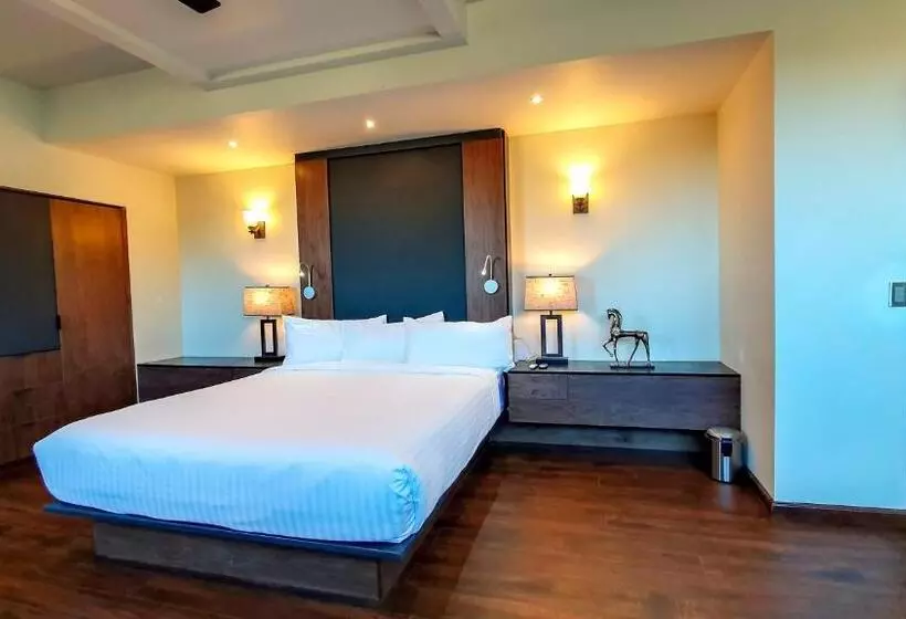 Presidenttisviitti, Boutique Valle De Guadalupe & Spa