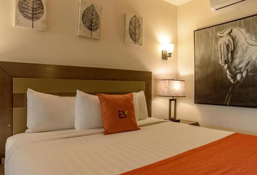 가든 전망 주니어 스위트, Boutique Valle De Guadalupe & Spa