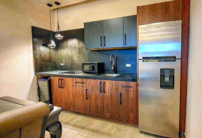 프레지덴셜 스위트, Boutique Valle De Guadalupe & Spa