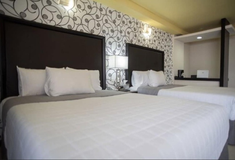 スタンダードルーム, Ha