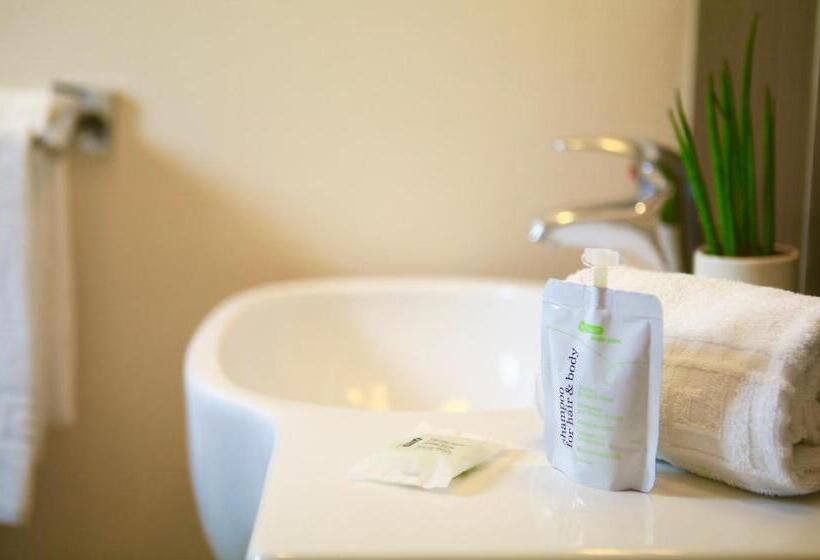 اتاق پرمیوم, Logis Hôtels Hôtel Marguerite D Anjou Angers Château