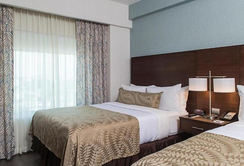 套房, Staybridge Suites Puebla, An Ihg