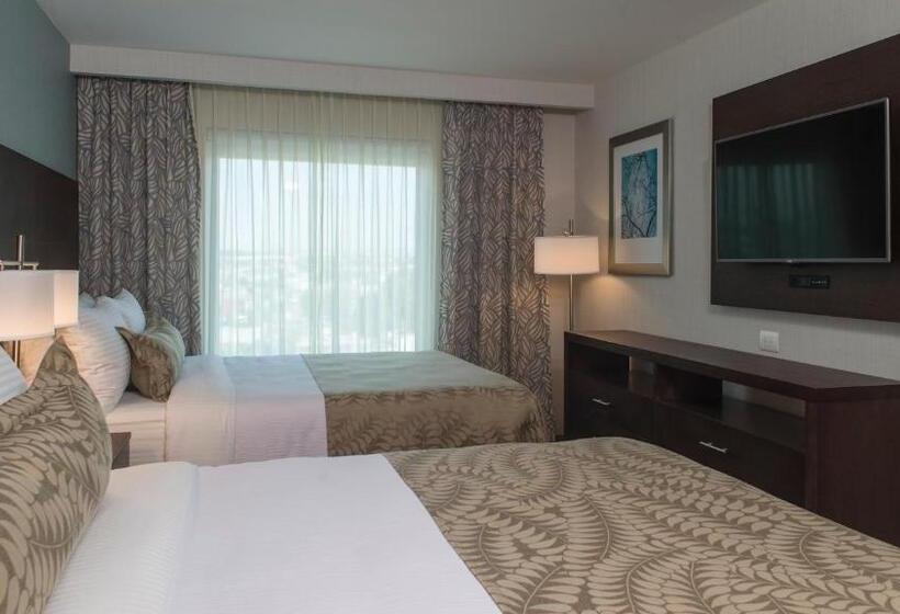 套房, Staybridge Suites Puebla, An Ihg