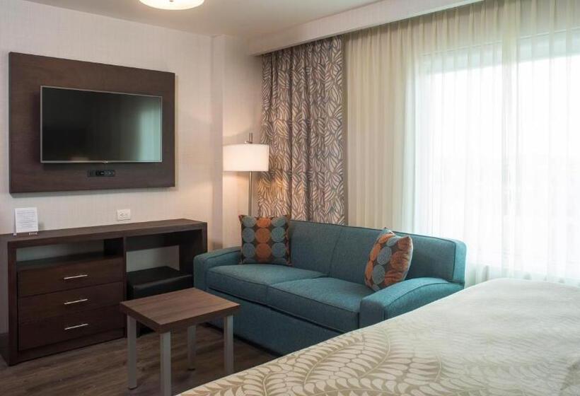 带大床的套房, Staybridge Suites Puebla, An Ihg