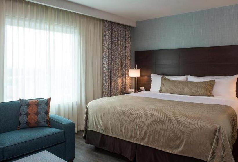 带大床的套房, Staybridge Suites Puebla, An Ihg