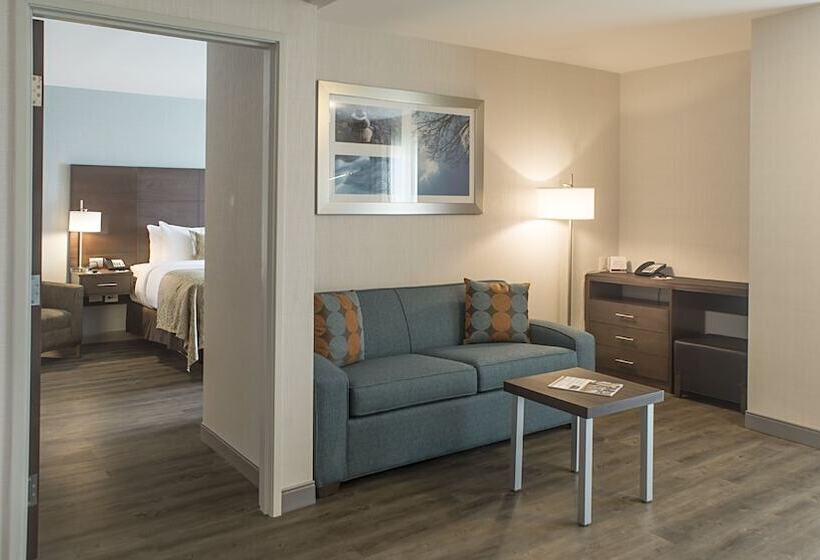 带2个卧室的套房, Staybridge Suites Puebla, An Ihg