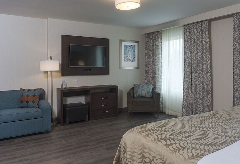 套房, Staybridge Suites Puebla, An Ihg