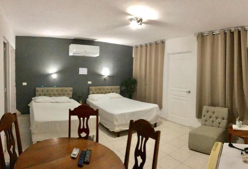 غرفه قياسيه سريرين مزدوجين, Zyan Rooms