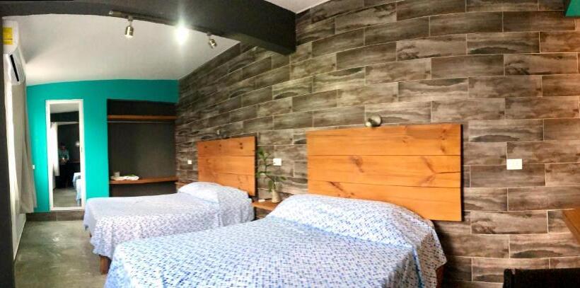 إستوديو ديلوكس, Zyan Rooms