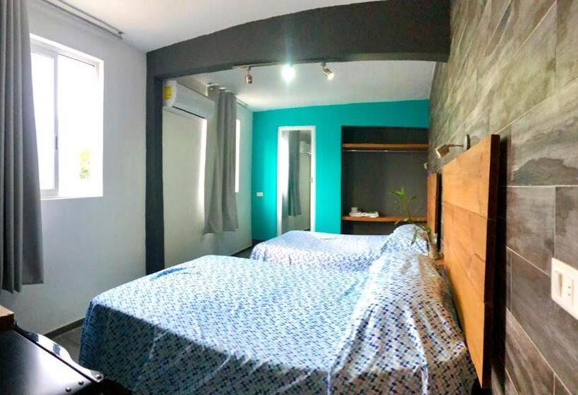 إستوديو ديلوكس, Zyan Rooms