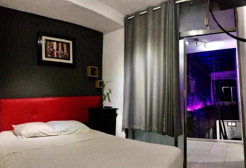 غرفة قياسية, Zyan Rooms