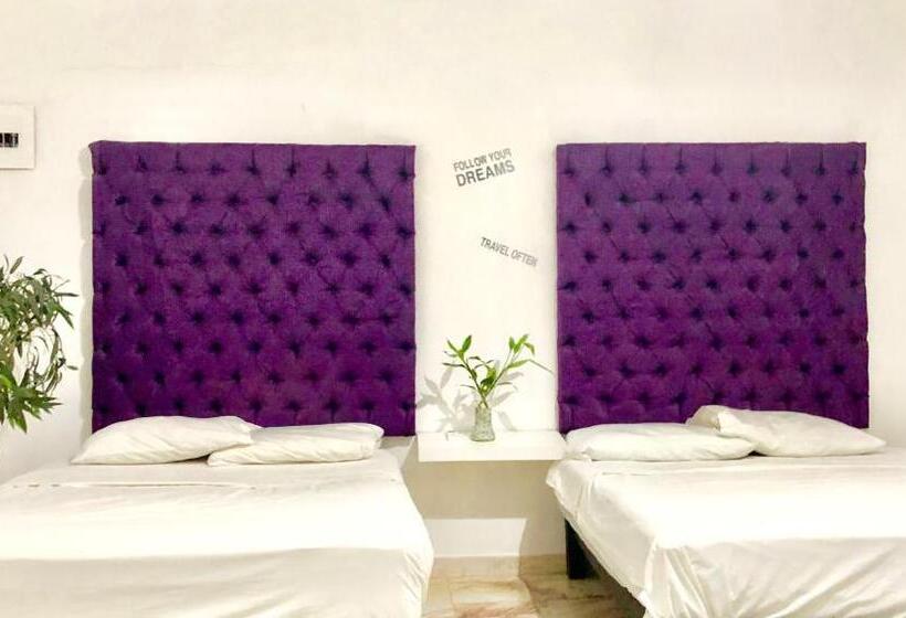 غرفه قياسيه سريرين مزدوجين, Zyan Rooms