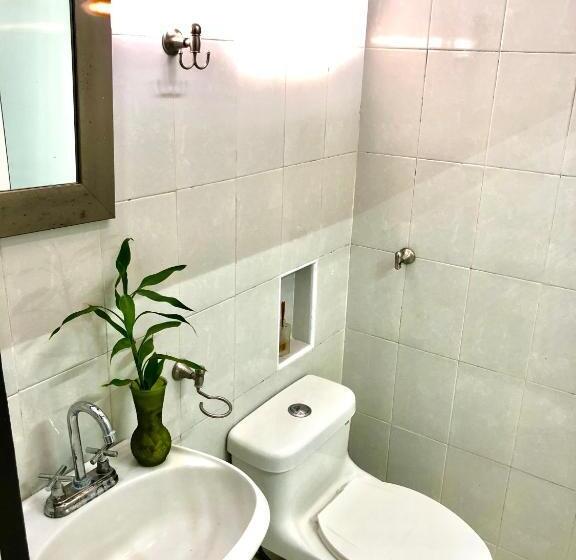 إستوديو ديلوكس, Zyan Rooms