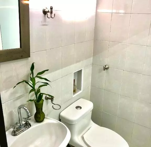 استودیوی لوکس, Zyan Rooms
