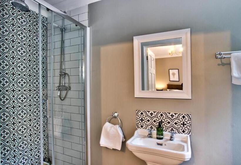 غرفة قياسية, The Vines