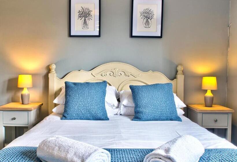 غرفة قياسية, The Vines