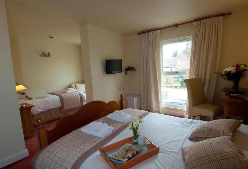 غرفة عائلية, The Vines