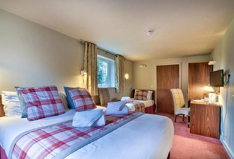 غرفة عائلية, The Vines