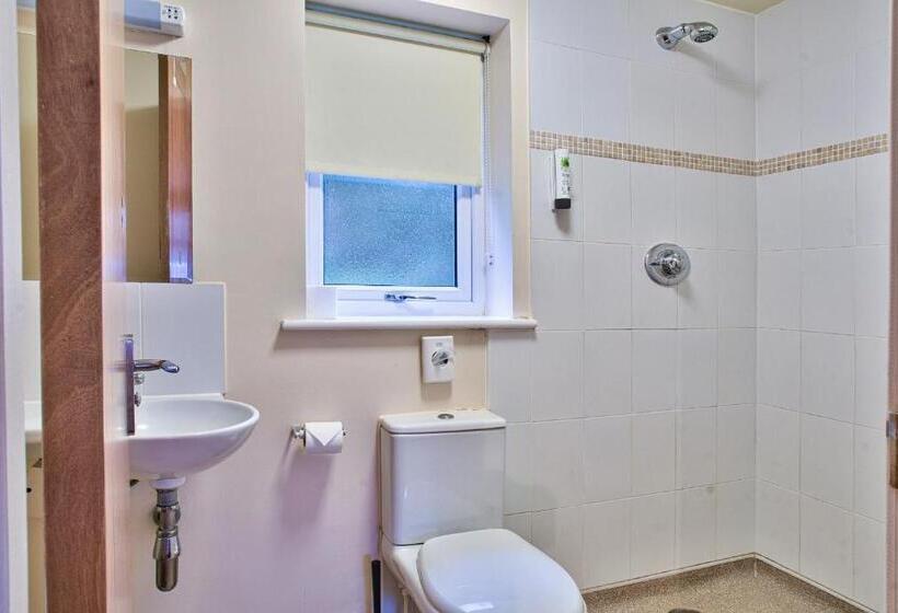 غرفة عائلية, The Vines