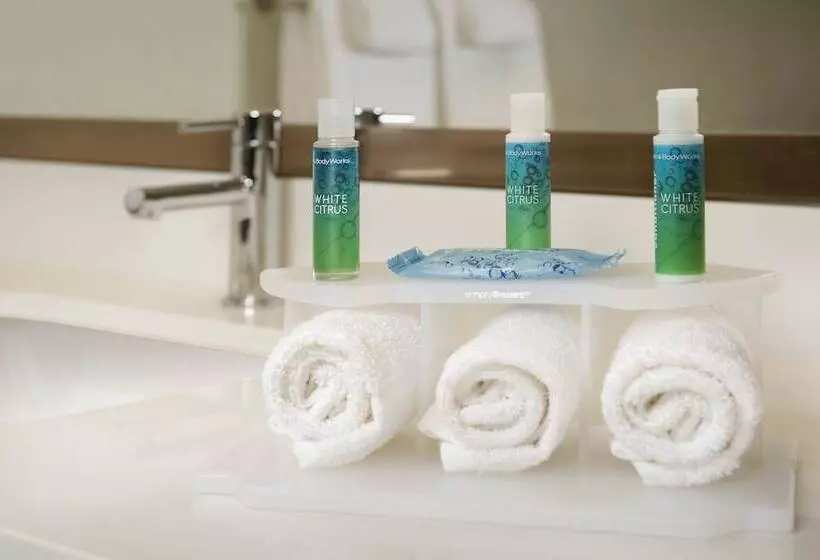 Standard-huone, Holiday Inn Express & Suites Bay City, An Ihg