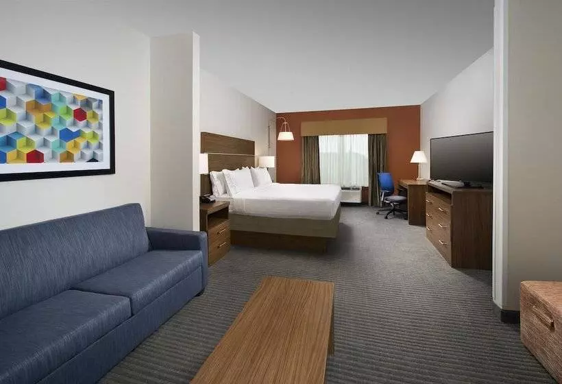 Sviitti Liikuntarajoitteisille, Holiday Inn Express & Suites Bay City, An Ihg
