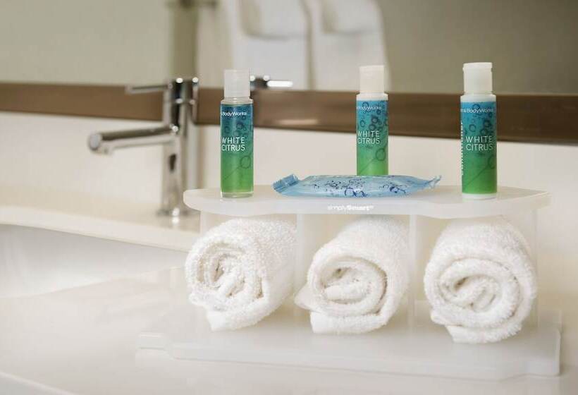 Suite Adaptada per a persones amb mobilitat reduïda, Holiday Inn Express & Suites Bay City, An Ihg