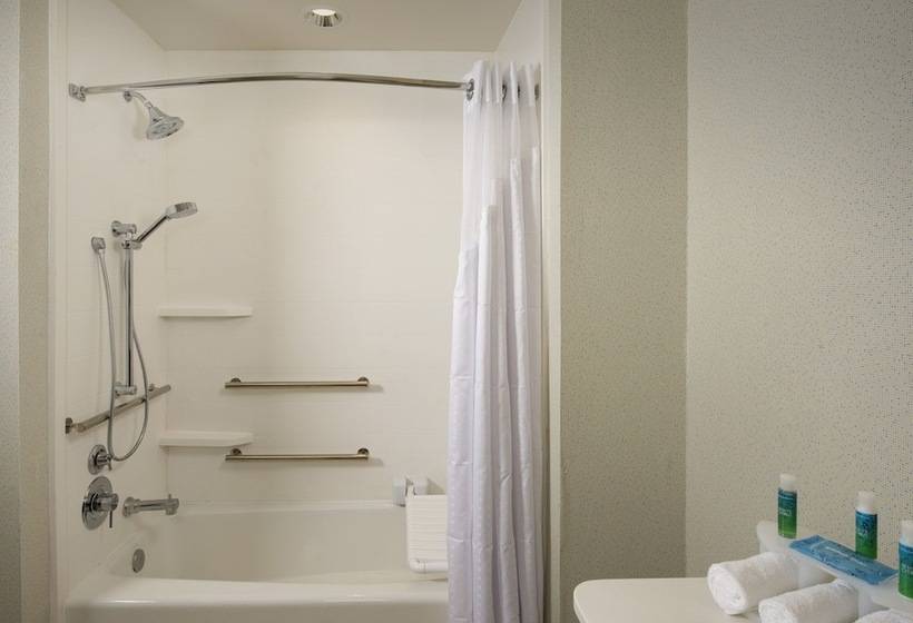 Люкс Адаптированный для Инвалидов, Holiday Inn Express & Suites Bay City, An Ihg