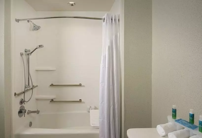 Sviitti Liikuntarajoitteisille, Holiday Inn Express & Suites Bay City, An Ihg