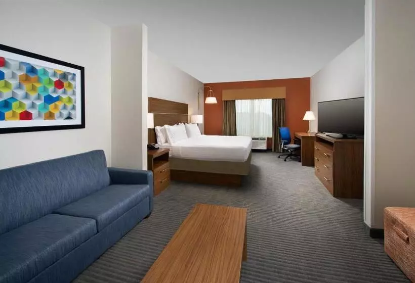 Sviitti King-vuode, Holiday Inn Express & Suites Bay City, An Ihg