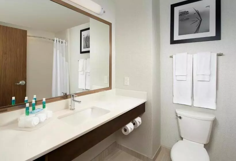 Sviitti King-vuode, Holiday Inn Express & Suites Bay City, An Ihg