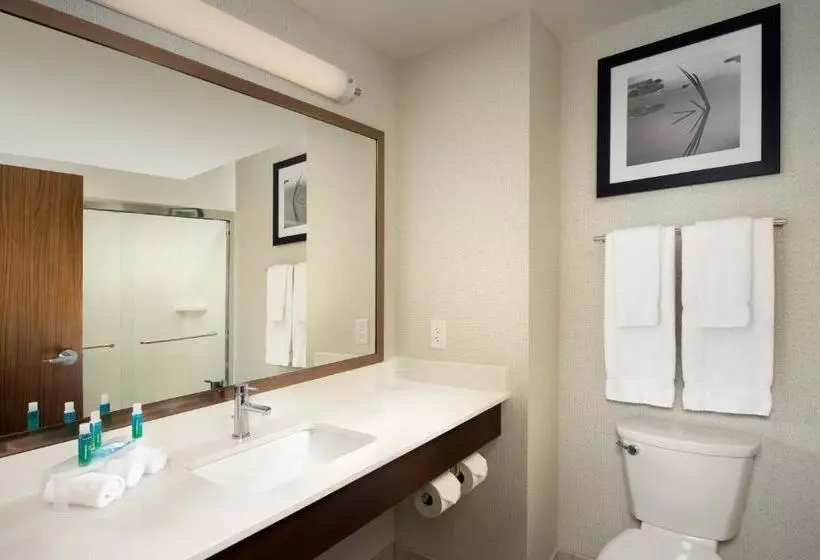 Sviitti King-vuode, Holiday Inn Express & Suites Bay City, An Ihg