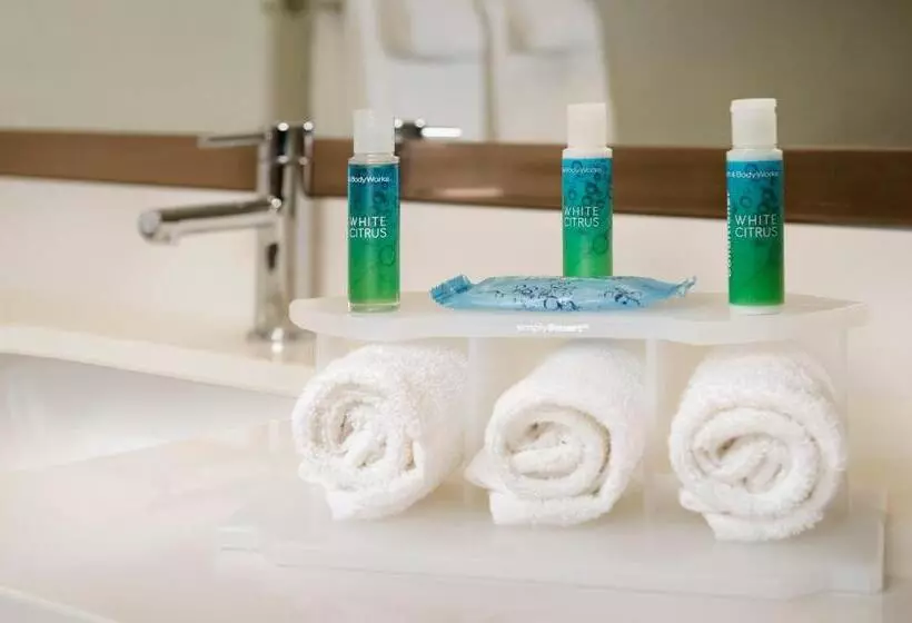 Standard-invahuone King-vuode, Holiday Inn Express & Suites Bay City, An Ihg