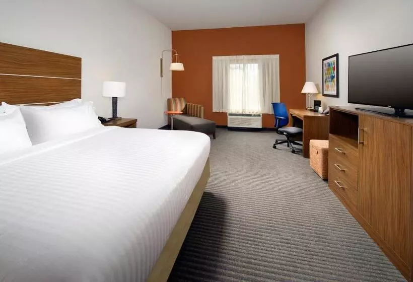 Standard-invahuone King-vuode, Holiday Inn Express & Suites Bay City, An Ihg