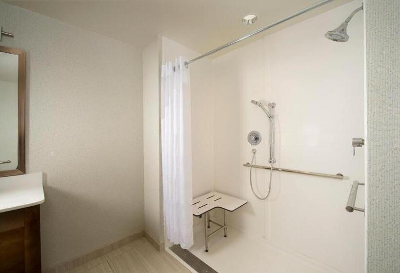 Habitació Estàndard Llit King Adaptada per a persones amb mobilitat reduïda, Holiday Inn Express & Suites Bay City, An Ihg